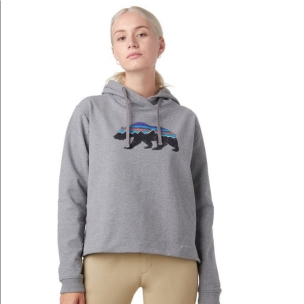 LAST CHANCE Patagonia Fitz Roy Bear Hoodie